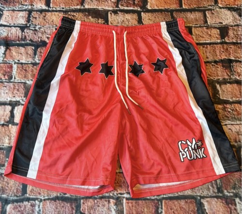 Punk wwe wrestling poly - wwe,