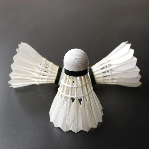 Training goose feather - training,