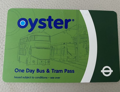 Rare oyster one - rare, day