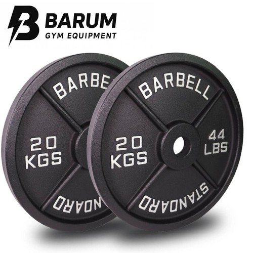 20kg cast iron weight - cast,