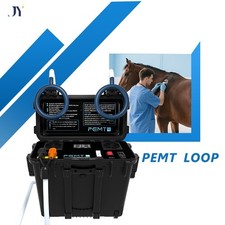 Equine PEMF Therapy Horses