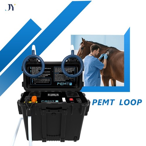 Equine pemf therapy - pemf, horses