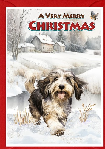 Tibetan terrier dog christmas - tibetan,