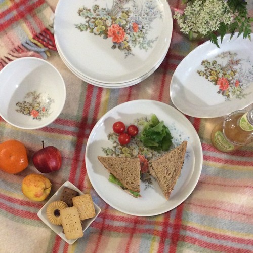 Vintage floral picnic plates - floral,