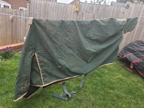 Cotton summer sheet - cotton, horse