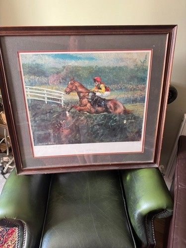 Horse racing picture - horse,