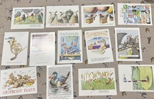 Simon Drew Set 13 Cards purposeless Unused Comedy Art postcards animals  
