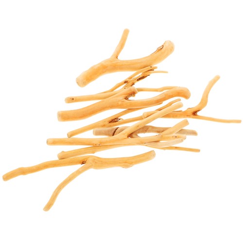 Twigs sticks logs - twigs,