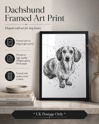 Miniature dachshund original - miniature,