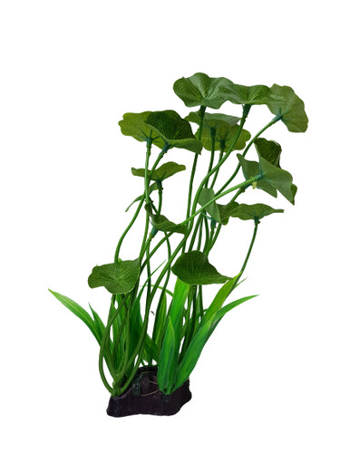 Silk and plastic plants - silk,