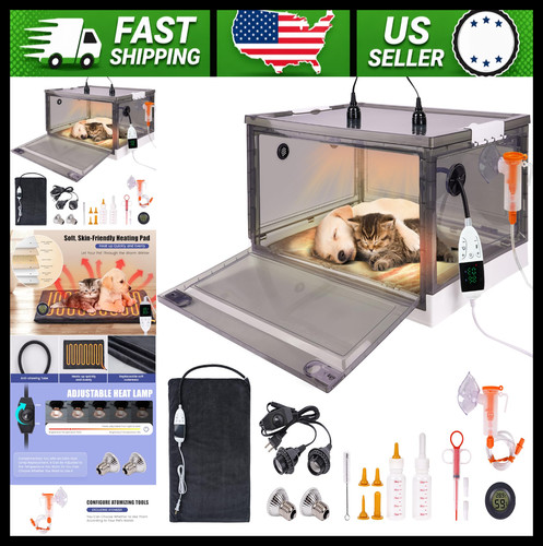 Puppy kitten incubator with - puppy,