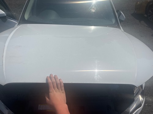 Bonnet 2013 audi - bonnet, s9r