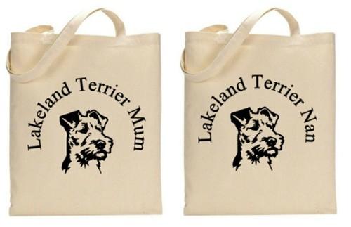 Lakeland terrier dog - terrier, breed