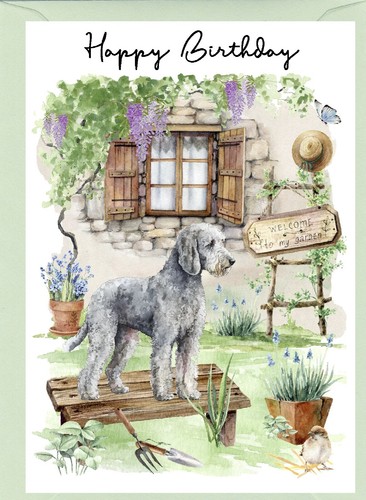 Bedlington terrier dog x - bedlington,