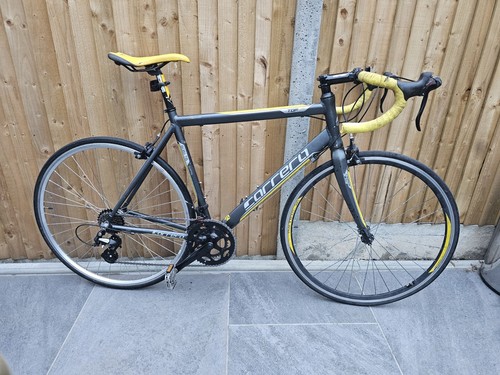 Carrera tdf ltd limited - tdf,