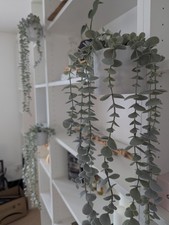 Plant Pot For IKEA Bookcase