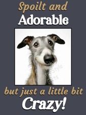 Lurcher Greyhound Whippet pet