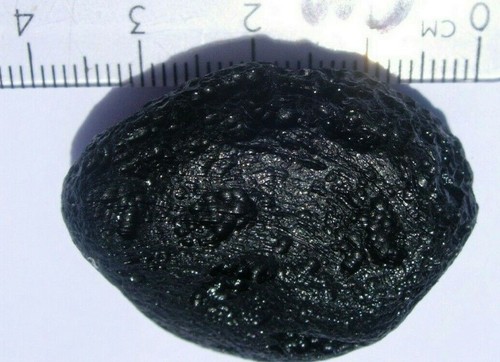 Tektite meteorite large piece - meteorite,