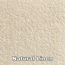 Revolution Saxony Hessian back