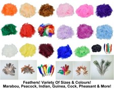 Feathers Marabou Peacock