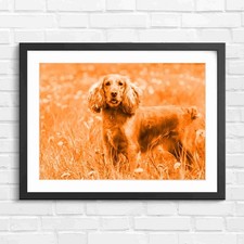 Cute Red Cocker Spaniel Dog