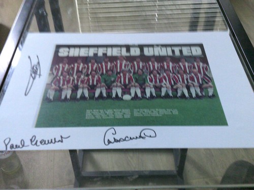 Sheffield united signed - sheffield, team