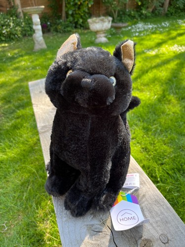 Black cat plush - cat,
