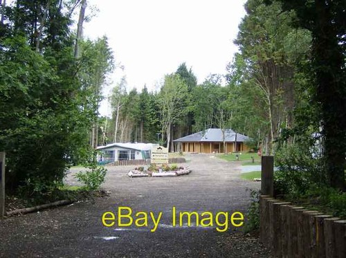Photo 6x4 whitefield - photo, forest