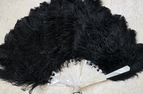 Antique ostrich feather - antique, fan