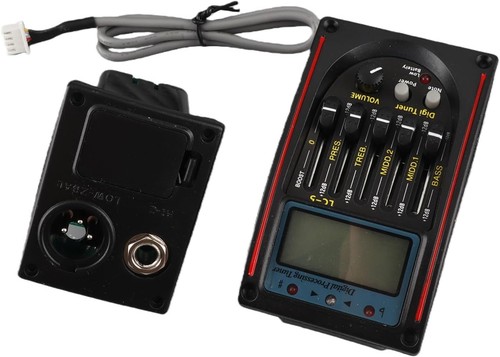 Lcd band acoustic guitar - band,