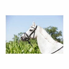 Kieffer Ultrasoft Economy