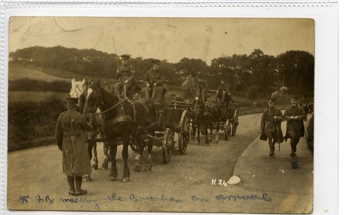 Rppc military horse - (gd8319),
