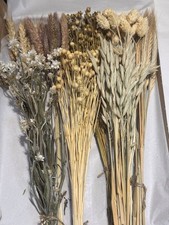 70 DRIED FLOWERS 'EIGHT