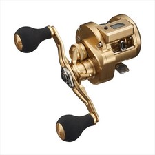 Daiwa 21 Basara IC
