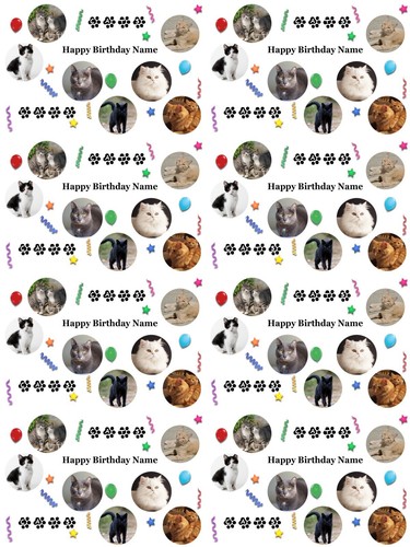 Cats personalised birthday - cats,