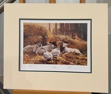 Mick Cawston - The Villian -