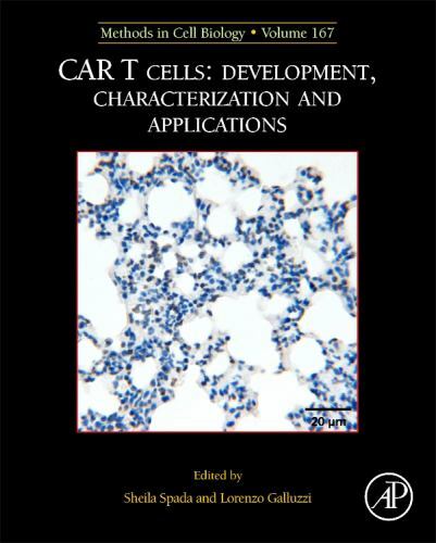 Mcb car cells - t,
