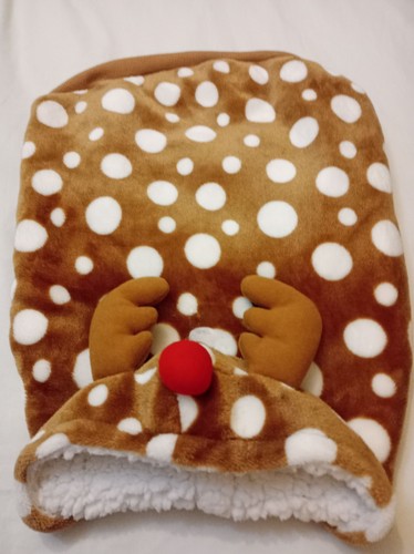 Pet dog brown with - pet,