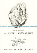 D269882 The Severn Bores Shell