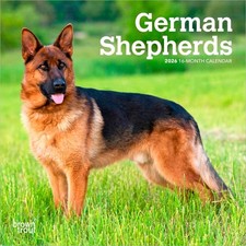German Shepherds | 2026 7x14"