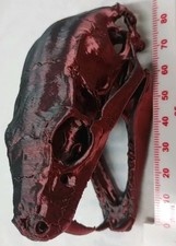 Lovely Dark Snake's Skull