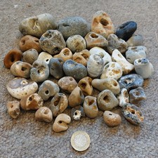 1.5kg 44 Natural Hag stones
