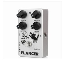 Caline CP-66, "SO WHAT"