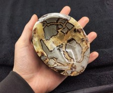 Large Septarian Bowl Dragon