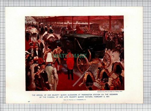 Queen alexandra - (5633),
