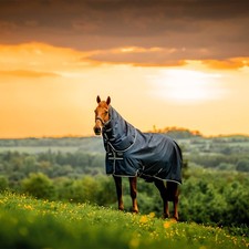 Horseware Amigo Ripstop 900D