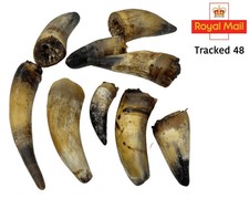 1Kg 100% Natural Air Dried Pet