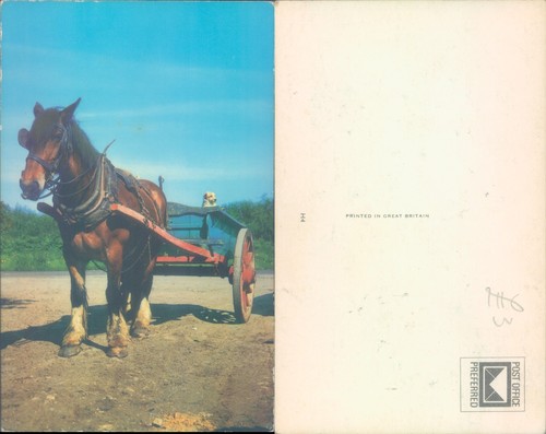 Horse and cart - , printed