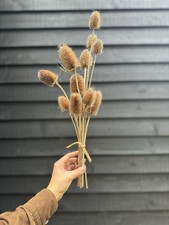 Short Thistle Flower Bouquet Arrangement, Tall Dried Flower Stems For Home Decor