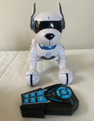 Remote control robotic - control, toy
